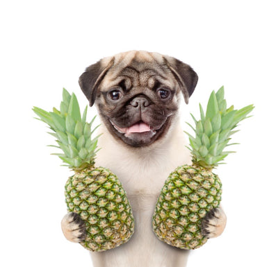 Dürfen Hunde Ananas essen?