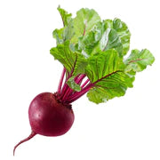 Rote Beete